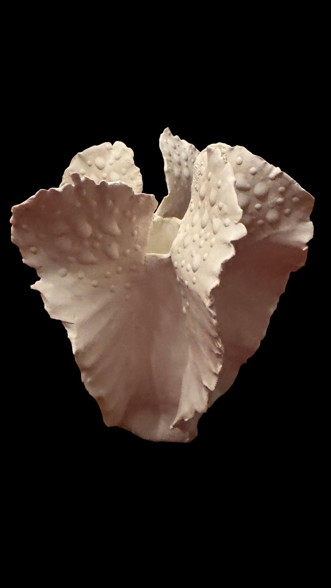 White Ceramic Sculptural Vase, matte white studio pottery with ruffled lobes